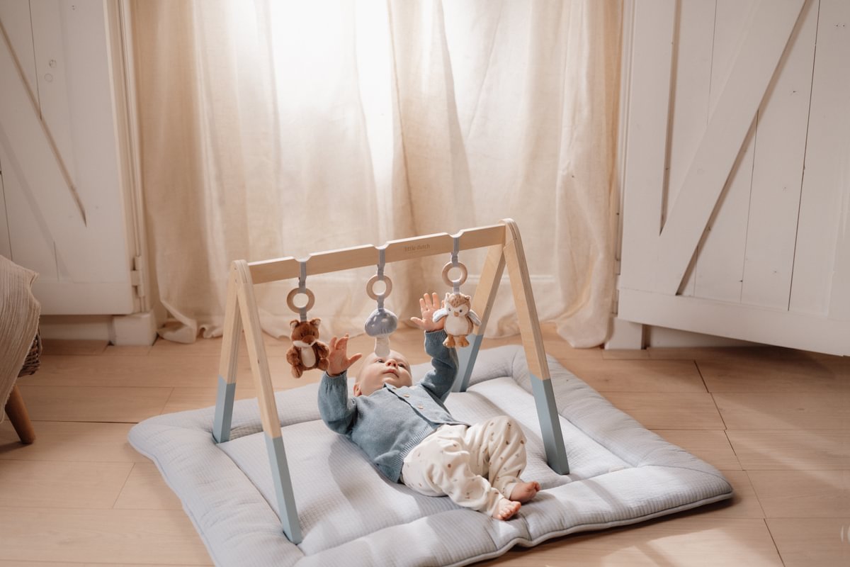Arche d'éveil Forest Friends – Jouet d'éveil pour bébés
