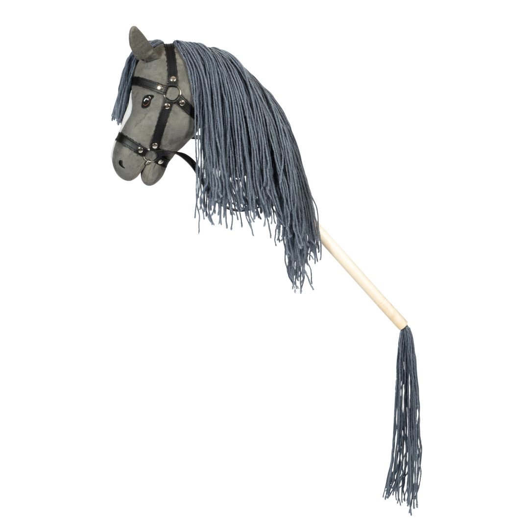 Cheval de loisir gris | par Astrup